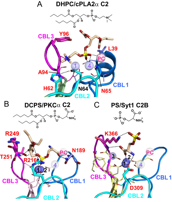 Figure 6.