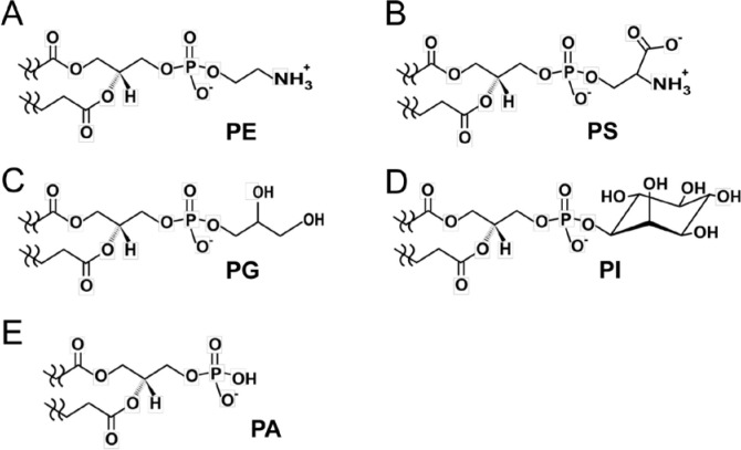 Figure 4—figure supplement 1.