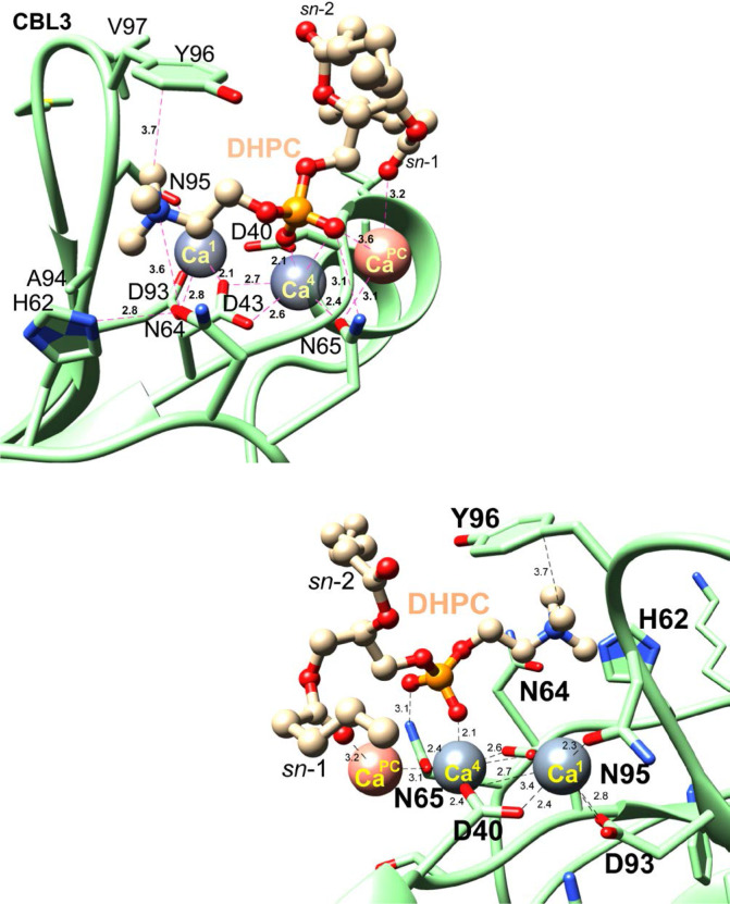 Figure 2—figure supplement 1.