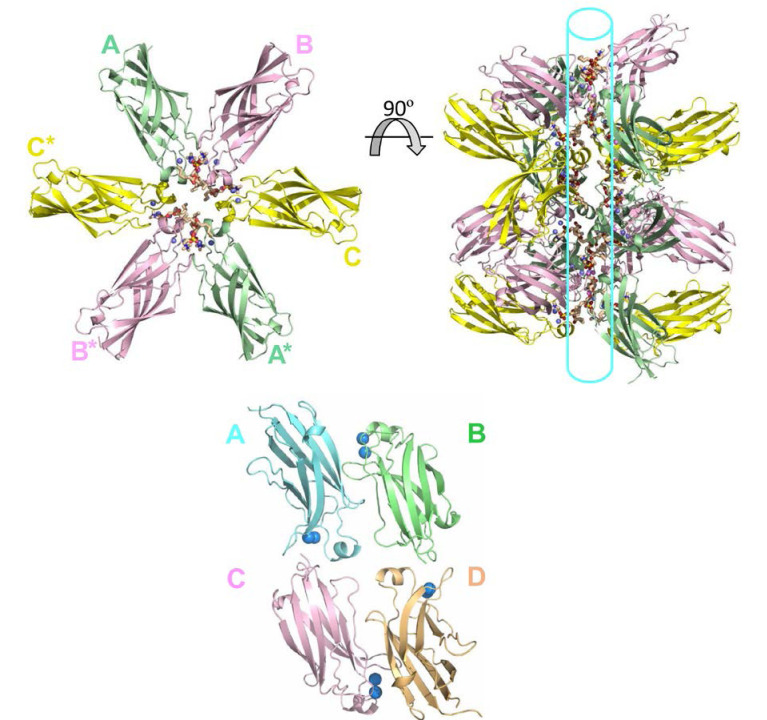 Figure 1—figure supplement 2.