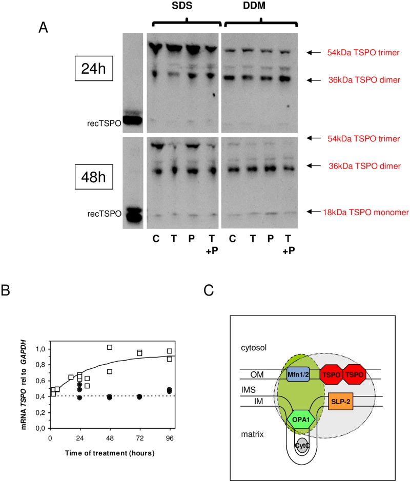 Fig 7