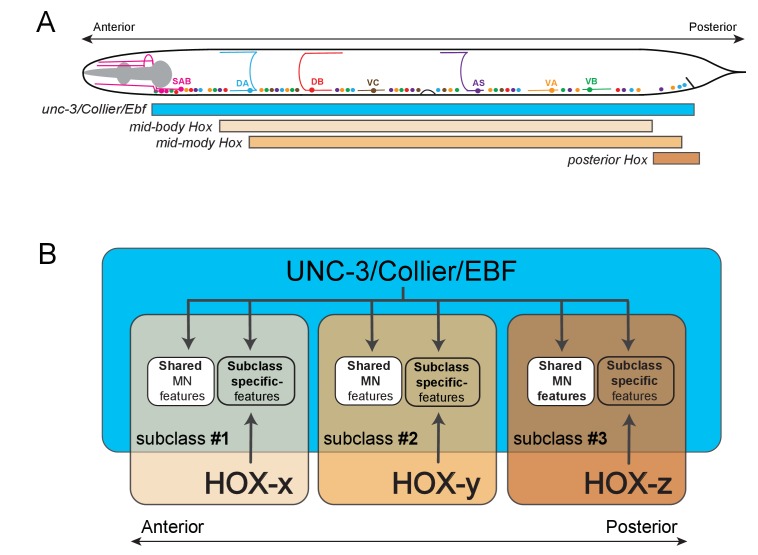 Figure 10.