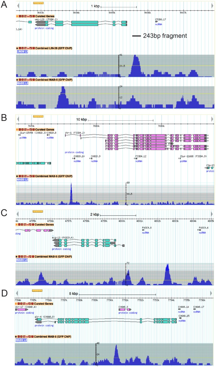 Figure 6—figure supplement 1.