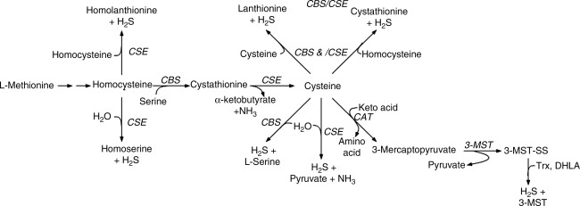 FIG. 7.