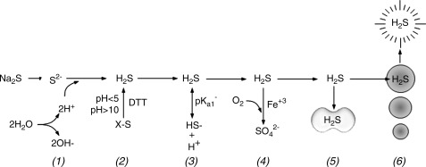 FIG. 8.