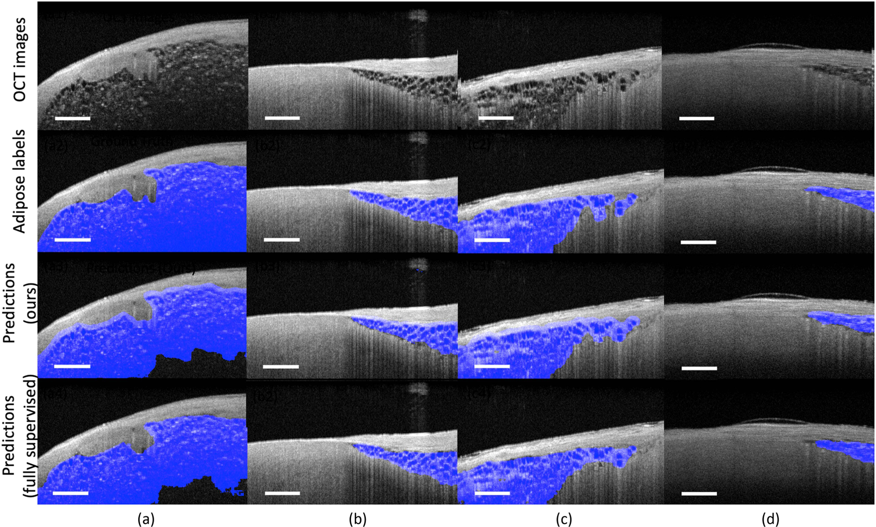 Fig. 7.