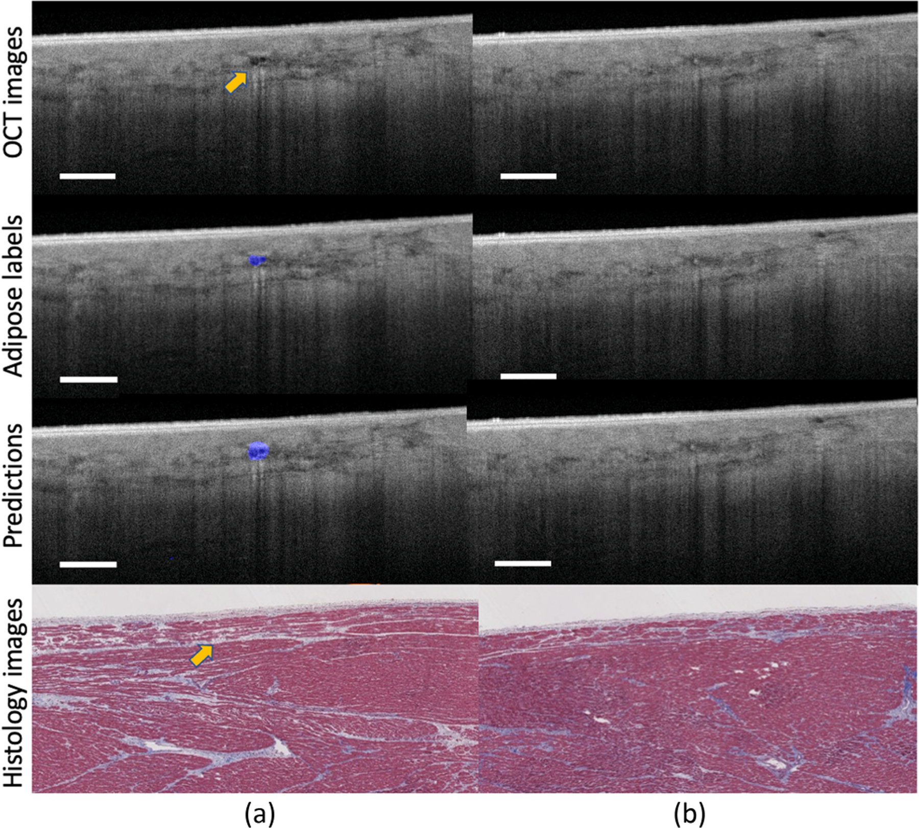 Fig. 8.