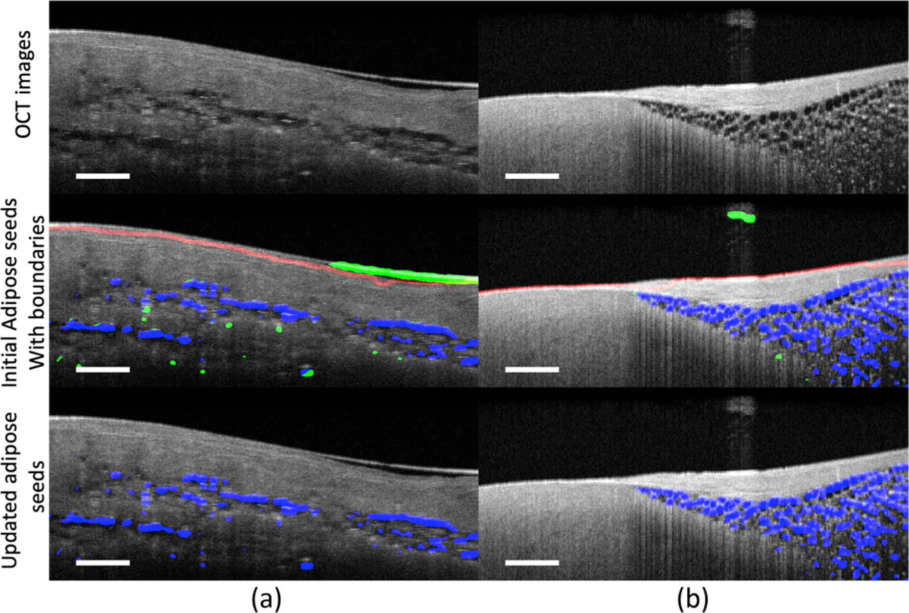 Fig. 3.