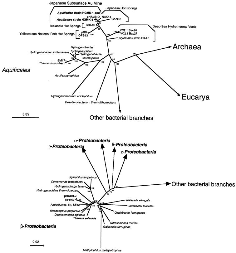 FIG. 1.