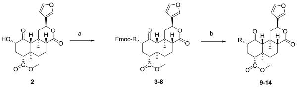 Scheme 1