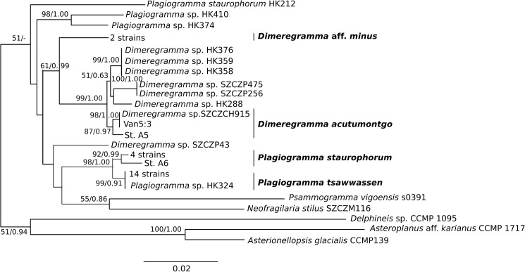 Fig 10