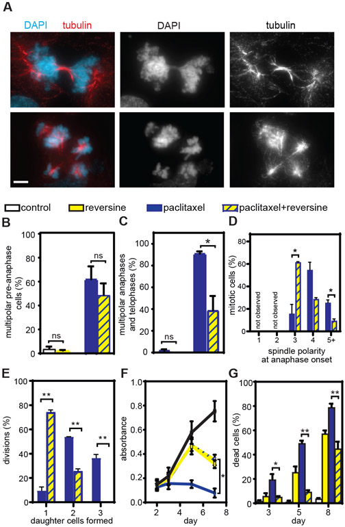 Fig. 4: