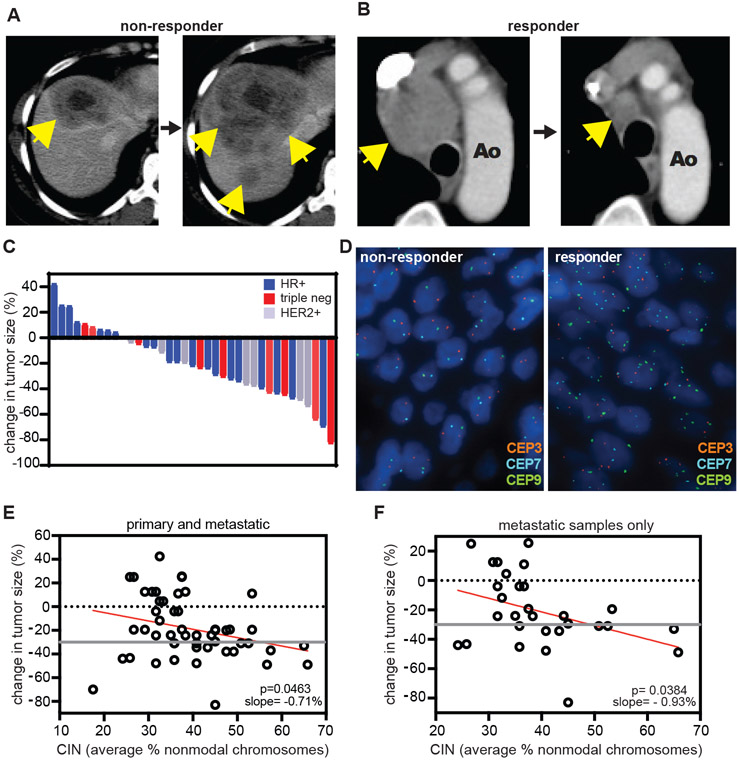 Fig. 7: