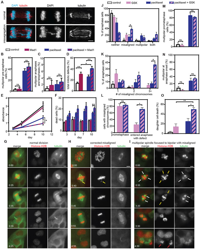 Fig. 6: