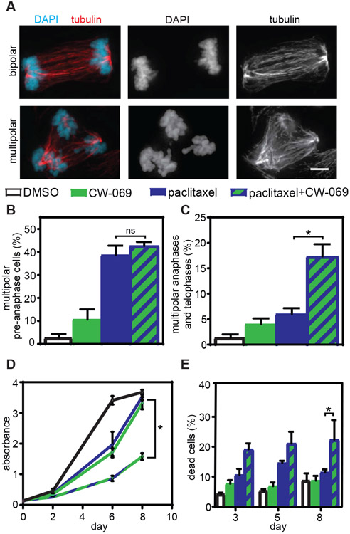 Fig. 2: