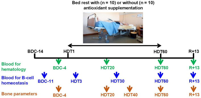 Figure 1