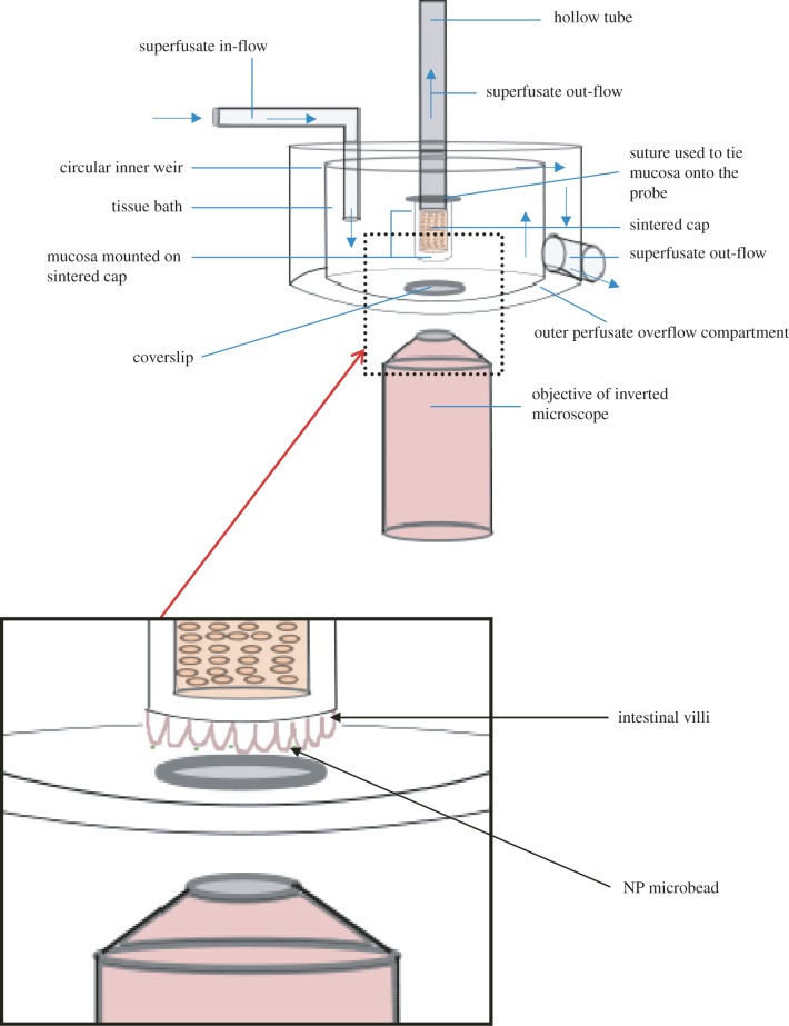 Figure 1.