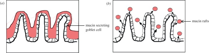 Figure 7.