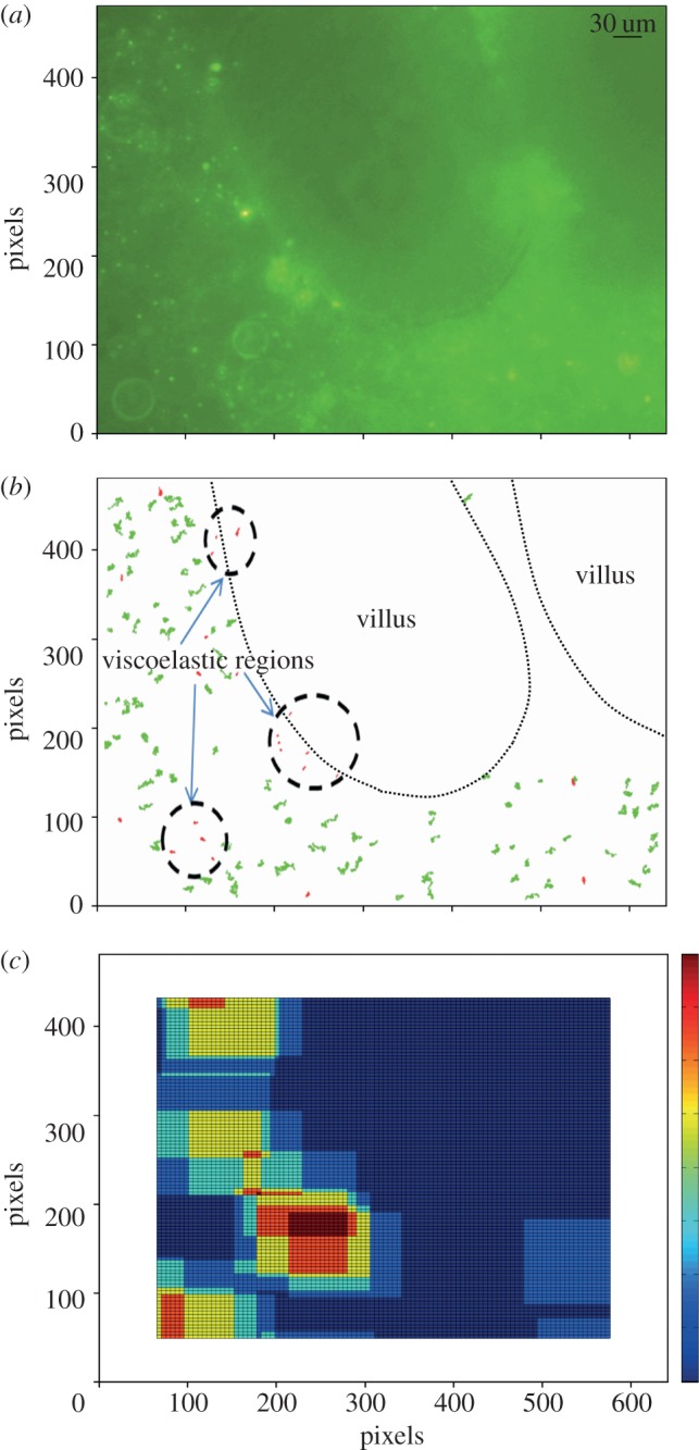 Figure 3.