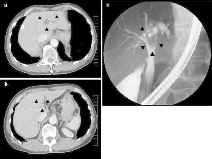 Fig. 2