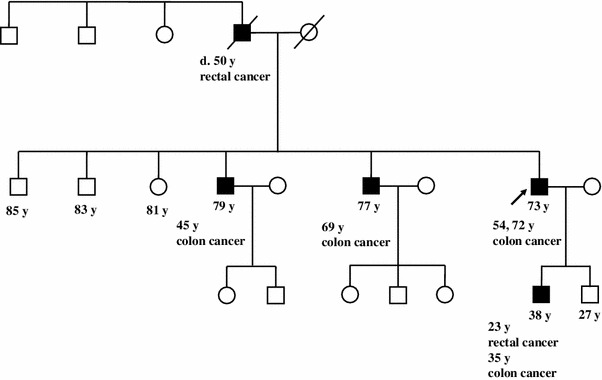 Fig. 1