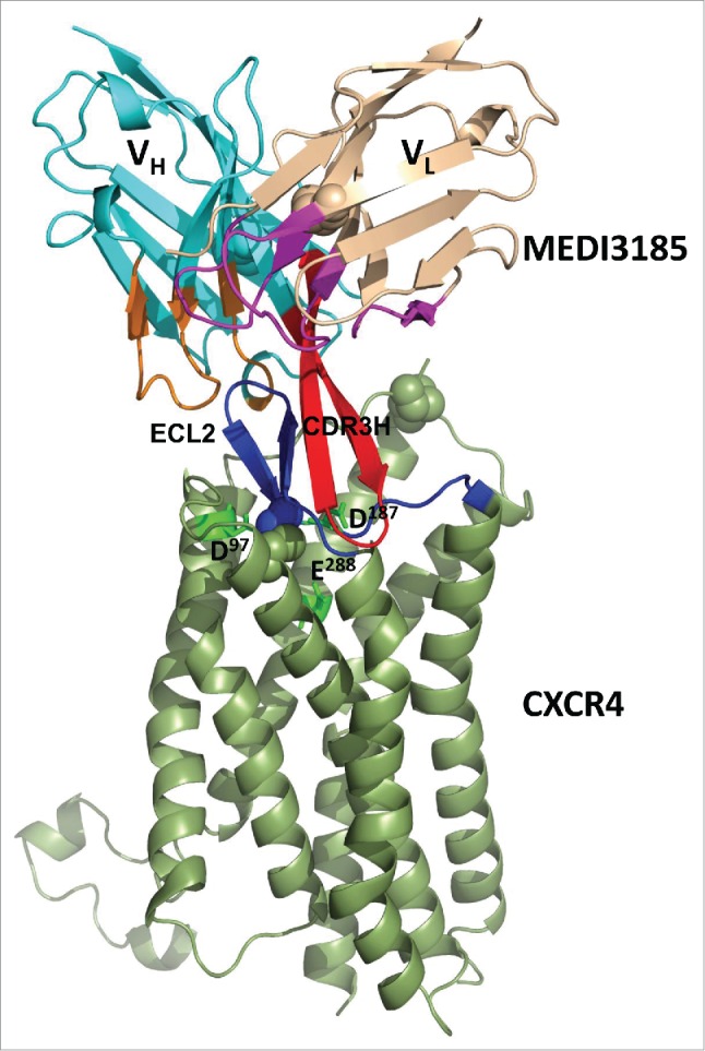 Figure 7.