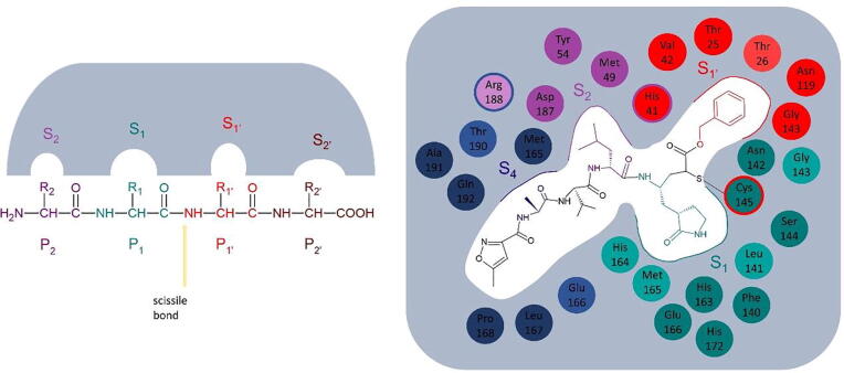 Fig. 3