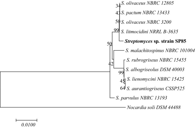 Fig. 3