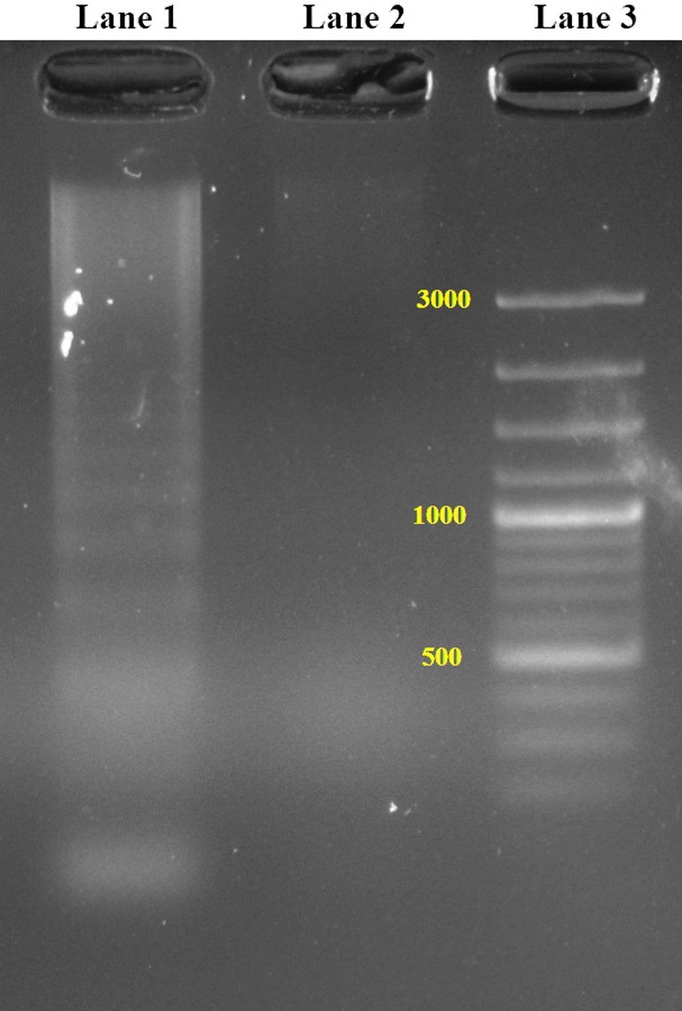 Fig. 7