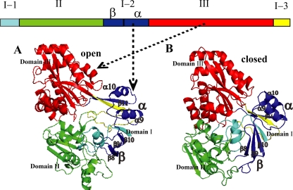 FIG. 1.