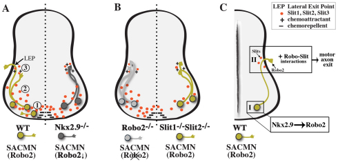 Fig. 10.