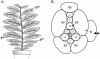 FIG. 1.