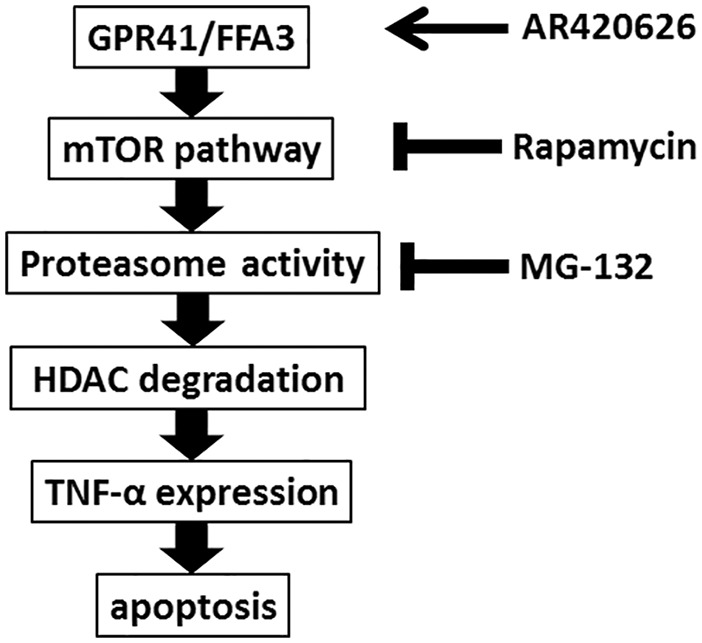 Figure 9.