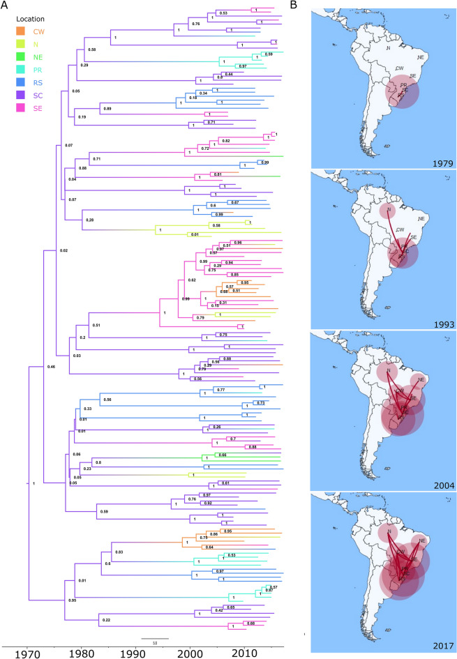 Figure 4