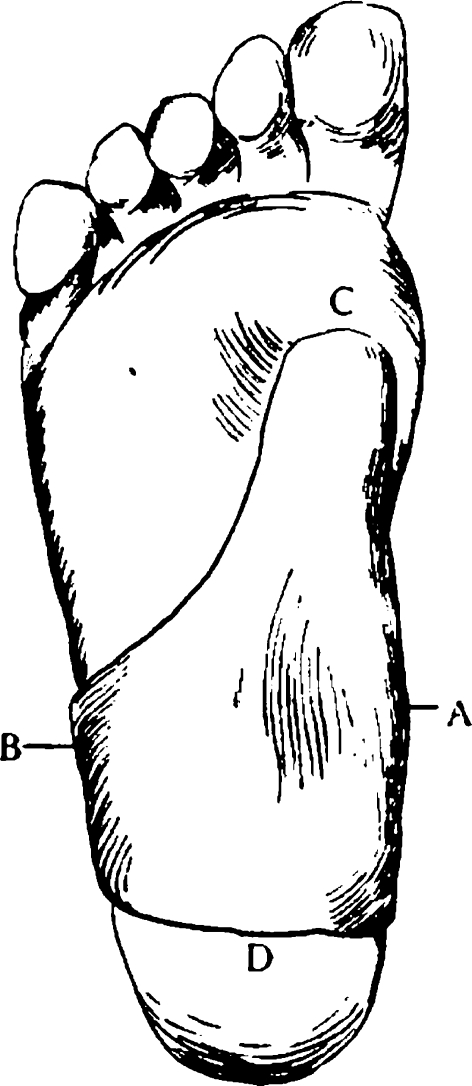 Fig. 15