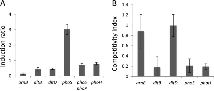 FIG 7