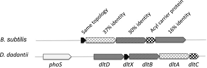 FIG 1