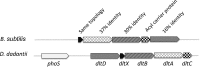 FIG 1