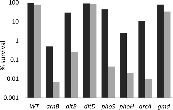 FIG 6