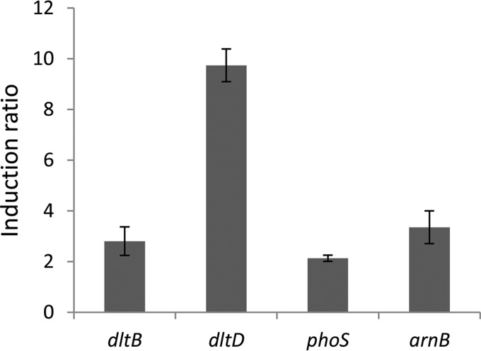 FIG 3