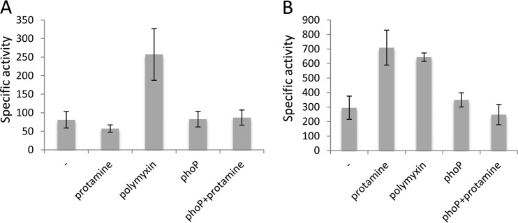 FIG 2