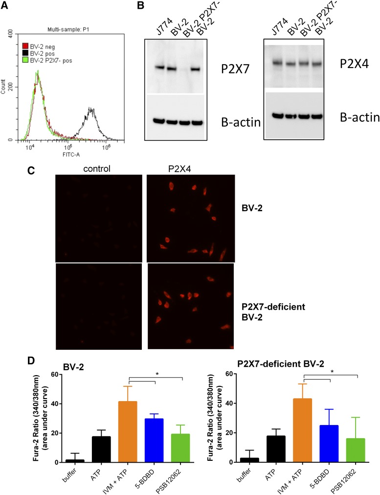 Fig. 6.