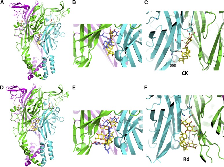 Fig. 8.