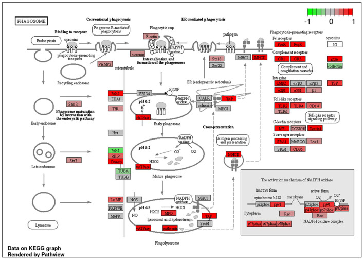 Figure 7