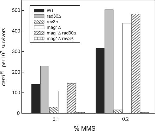 FIG. 2.