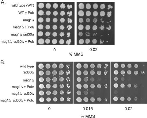 FIG. 3.