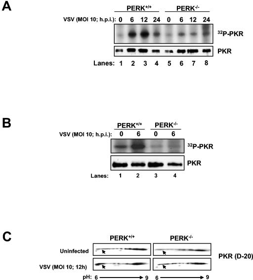 FIG. 6.