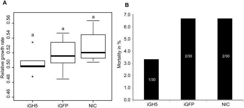 Fig 5