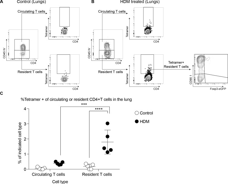 Figure 7—figure supplement 1.