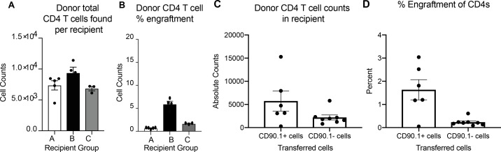 Figure 10—figure supplement 2.